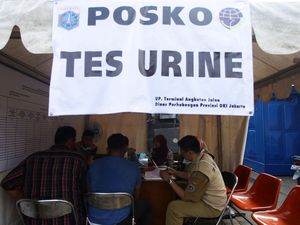 BNN Tes Urine Semua Sopir Bus, Nakhoda dan Pilot Jelang Musim Mudik
