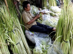 Bukan Saatnya Pamer Kemewahan Saat Rayakan Lebaran 2020