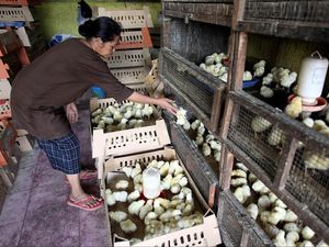 Kementan Minta Pengusaha Besar Cabut dari Pasar Tradisional