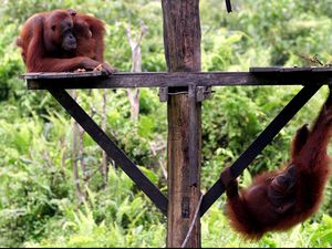 Foto: Aneka Tempat Wisata di Ibu Kota Baru Kutai Kartanegara