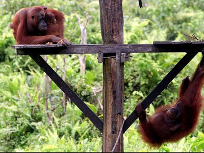 Foto: Aneka Tempat Wisata di Ibu Kota Baru Kutai Kartanegara