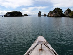 Jokowi Ingin Raja Ampat Jadi Lokasi Wisata Eksklusif
