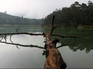 Jangan Khawatir, Dieng Punya Banyak Destinasi yang Aman Dikunjungi