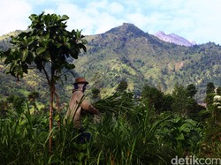 Kebakaran Hutan Terjadi di Lereng Gunung Merbabu