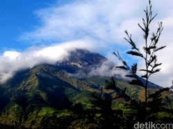 Pendaki yang akan 17-an di Merapi Diingatkan Jangan ke Puncak