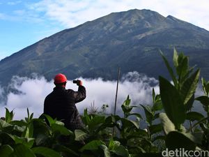 9 Truk Tersapu Lahar Hujan Merapi, Masih Ada 25 Juta Kubik di Puncak