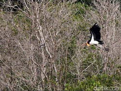 Selfie Bareng Kekasih di 5 Tempat Fotogenik Banyuwangi