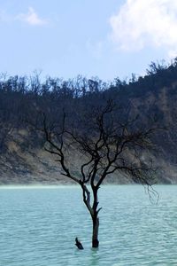 Kawah Putih Bandung, dari Angker Sampai Ramai Wisatawan