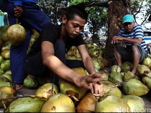 Sebulan, RI Impor Kentang 3.000 Ton dan Kelapa 54 Ton