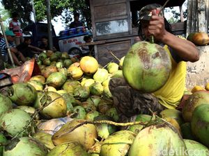 Mendag: Produk Kelapa Lagi Naik Daun, Tapi Terbengkalai di RI
