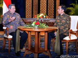 Desak Penerbitan Perppu Calon Tunggal Pilkada, Demokrat Surati Jokowi