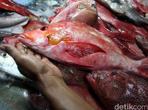 Mau Jaga Stabilitas Harga Ikan, Begini Siasat KKP