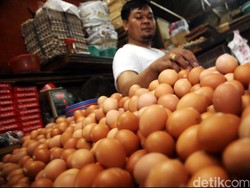 Turun Tipis, Harga Telur Ayam Jadi Rp 28.000/Kg