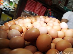 Jelang Ramadan, Banda Aceh Pasok 1,5 Juta Telur dari Medan