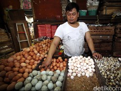 Harga Telur Ayam Turun Tipis Jadi Rp 25.000/Kg