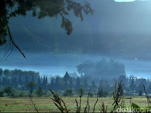 Tentang Mbah Fanani, Petapa yang Hilang Misterius dari Dieng