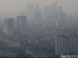 Dampak Paparan Asap untuk Kesehatan: Batuk Hingga Bikin Kurus