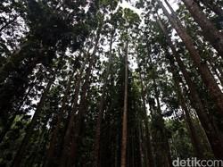 Pendaki Asal Tegal Hilang Saat Kabut Turun di Gunung Slamet