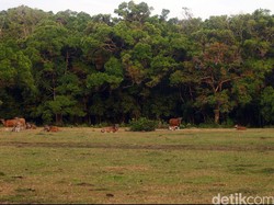 Kepala Balai Taman Nasional Ujung Kulon Diganti