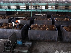 Malaysia Ancam Setop Pasok Minyak Sawit ke Uni Eropa, Ini Biang Keroknya