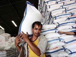 Pemerintah Belum Punya Solusi Atasi Biang Kerok Mahalnya Beras