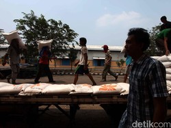 Rizal Ramli Lapor KPK soal Impor Pangan, Pemerintah Merespons