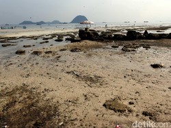 20 Tahun Dilarang, Kini Jokowi Izinkan Ekspor Pasir Laut