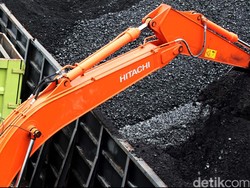 Sorotan Anggota DPR, Tuntut PLN Beli Batu Bara Dengan Harga Mahal
