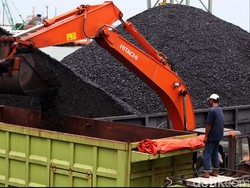 BUMN Listrik Thailand Incar 12% Saham Adaro, Boy Thohir: Mereka Butuh Batu Bara