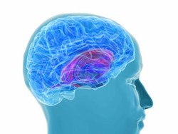 Sebentar Lagi, Tes Darah Bisa Deteksi Penyakit Alzheimer