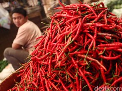 Harga Cabai Rawit Merah Rp 100.000/Kg, Ini Tanggapan Kementan