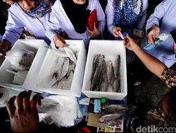 Pagi Ini Mau Belanja Seafood di Pasar? Catat 5 Hal Penting Ini