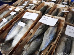 Susi Siapkan Rp 2 Triliun untuk Tingkatkan Kesejahteraan Nelayan