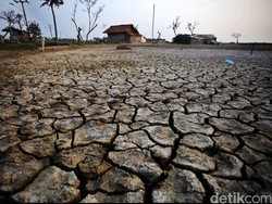 Cegah Kekeringan, Sisakan Tanah di Rumah Untuk Resapan Air Hujan