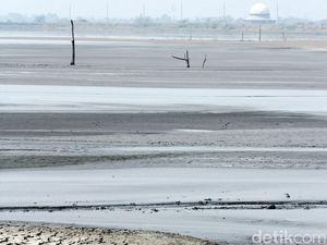 Utang Ratusan Miliar, Lapindo Jaminkan Sertifikat Tanah 44 Ha Utang Ratusan Miliar, Lapindo Jaminkan Sertifikat Tanah 44 Ha