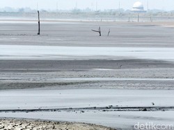 Tok! MA Hukum Menteri PUPR Ganti Rugi Mutmainah Korban Lapindo Rp 8 M