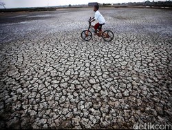 Selain Kabupaten Bogor, Bandung Juga Ditetapkan Siaga Darurat Kekeringan