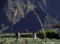 Wisatawan Dilarang Dekati Kawah Bromo, ini Alasannya