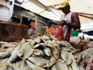 Tak Hanya Konsumsi, RI Impor Ikan untuk Bahan Baku Industri