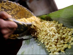 Harga Kedelai Bakal Naik Terus Sampai Mei, Gimana Nasib Tahu Tempe?