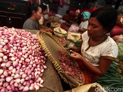 Harga Bawang Merah Tinggi, Petani: Jangan Buka Keran Impor