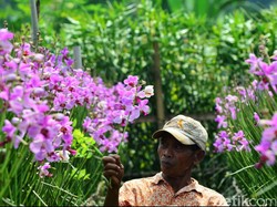Kotor-kotoran Ternyata Bisa Jadi Obat Stres