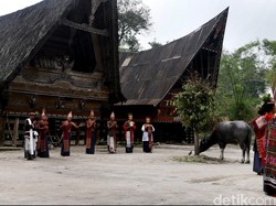 Kata Ahli soal Orang Batak Berwajah Rambo, tetapi Hati Rinto