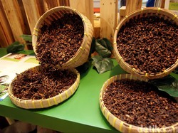 Target Setoran Cukai Naik, Pengawasan Rokok Ilegal Diperketat