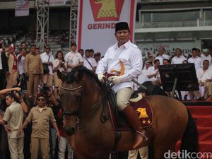 Gerindra Kembali Minta Prabowo Nyapres