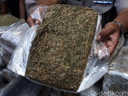 Polisi Tembak Kurir Narkoba di Medan, 49 Kg Ganja Disita