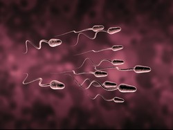 5 Kebiasaan yang Bisa Bikin Sperma Keok