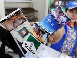 98% Laba Sampoerna Dibagikan ke Pemegang Saham, Total Rp 12 T