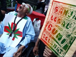 Punya Efek Candu, Ini yang Terjadi Saat Tubuh Berhenti Pakai Ganja Punya Efek Candu, Ini yang Terjadi Saat Tubuh Berhenti Pakai Ganja