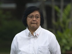 Menteri Siti Laporkan Kebakaran Hutan ke Jokowi